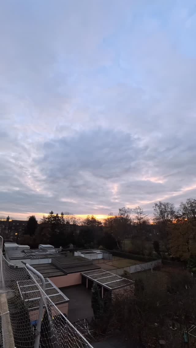 Weil es gestern schon so schön war. 🥰