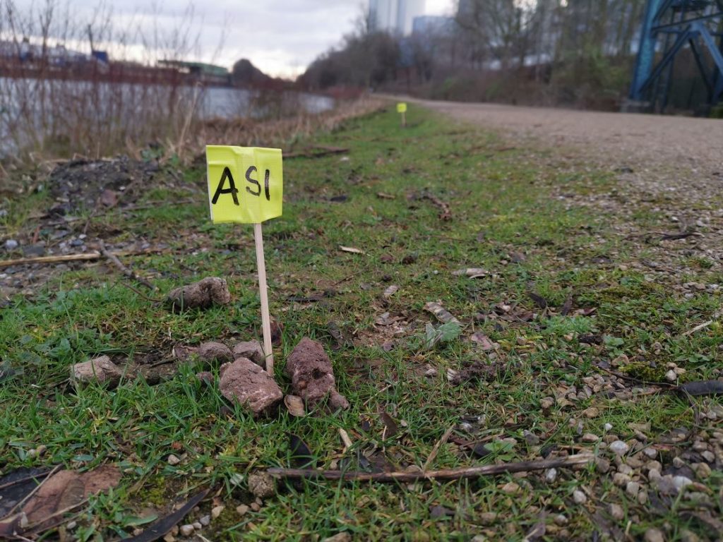 Die Sache Mit Dem Asi Schild Meinmtb De Mein Mountainbike Blog