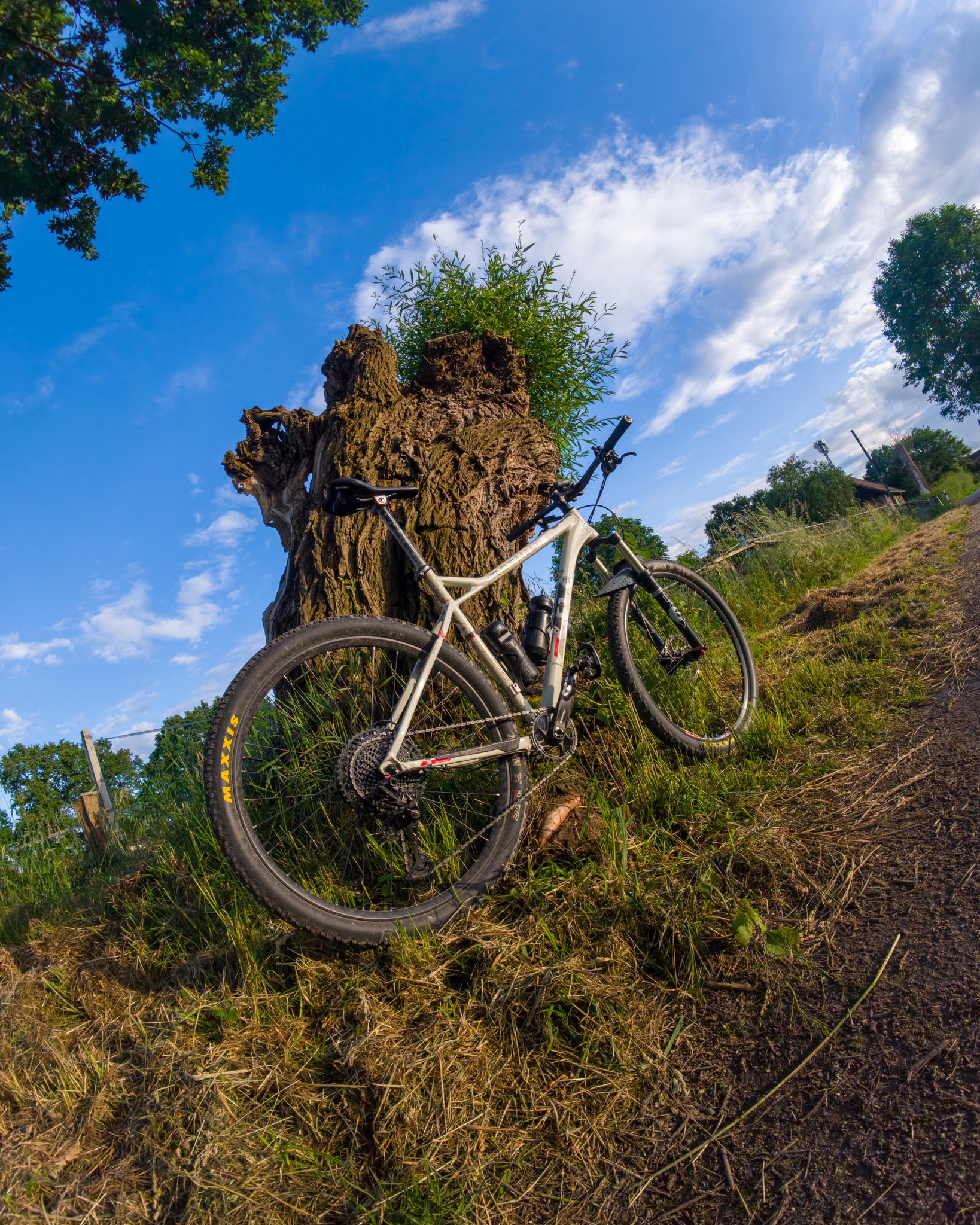 Auch heute noch mein Lieblingsbike: Mein Rotwild C1 Hardtail. 
11 Jahre alt und Stand heute hat es 25.829,8 km auf dem Buckel. 
Und bisher ist kein Ende in Sicht.