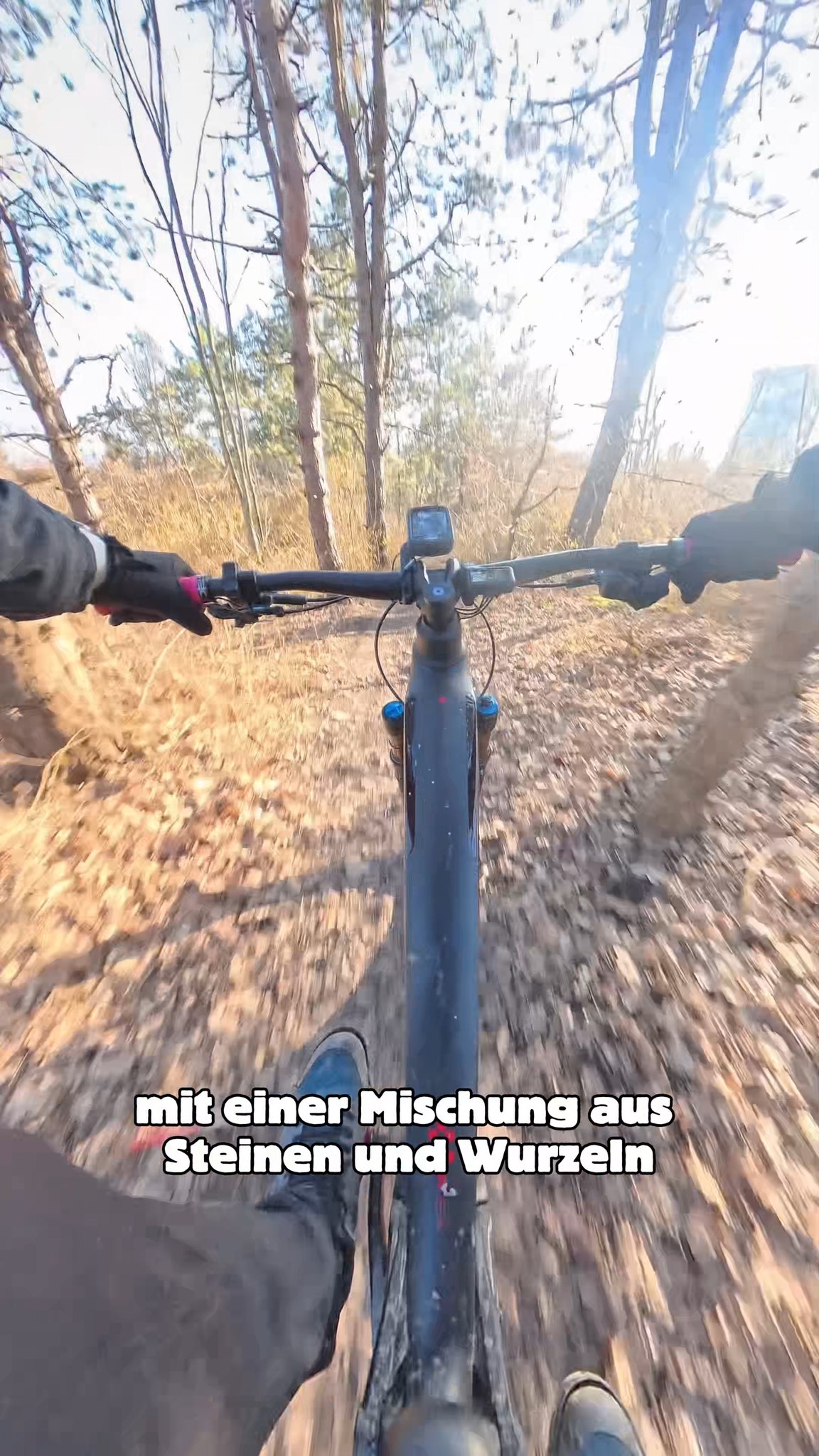 Der erste Trail, den ich immer auf meinen Hometrails fahre, ist der Nussknacker! 
Kennst du den Trail? Und hast du auch die Lachse schon gesehen?