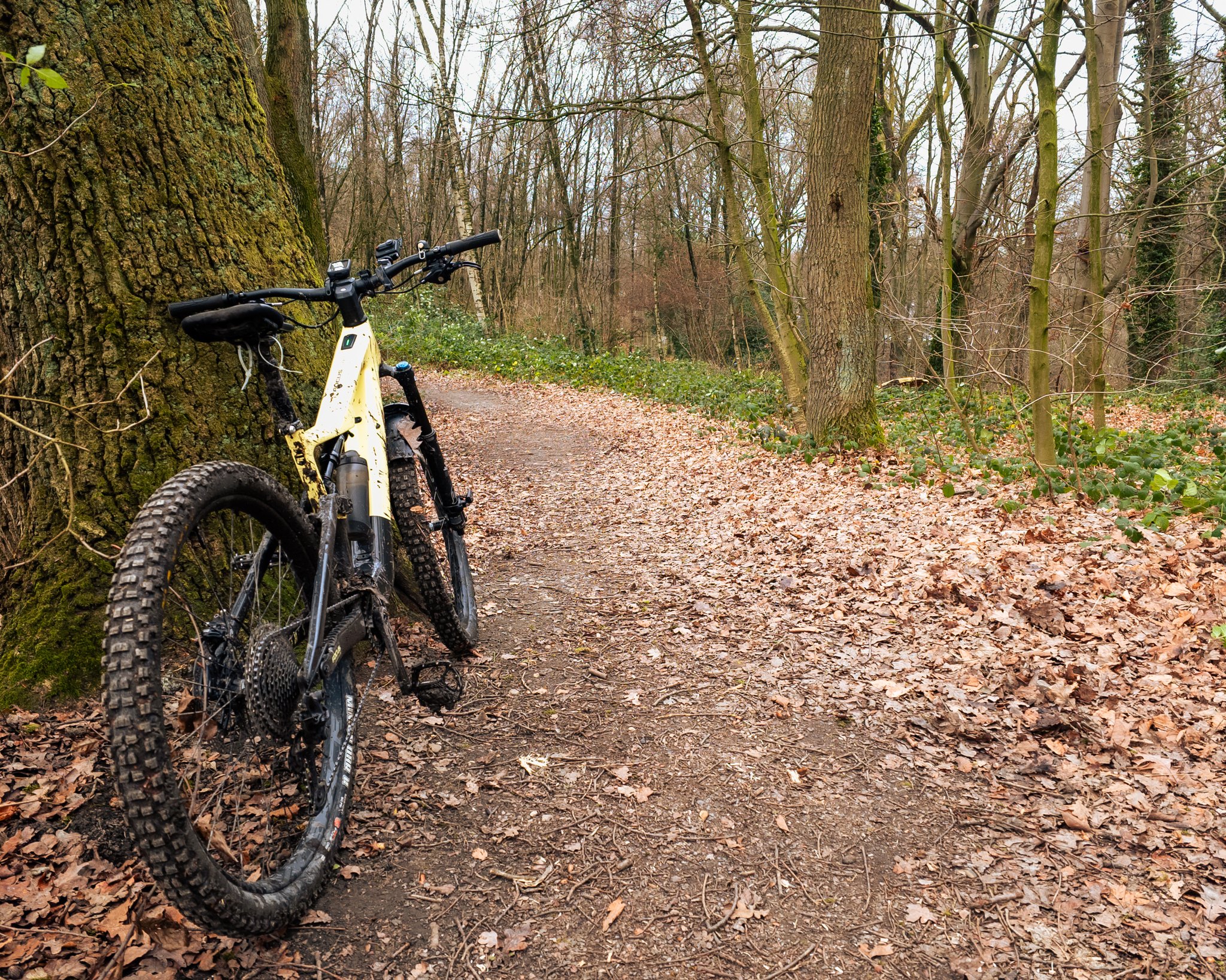 Ich war jetzt schon x‑mal in Castrop unterwegs und trotzdem hab ich das Gefühl, noch lange nicht alle Trails gefunden zu haben. Irgendwie ist das hier wie ’ne kleine Schatzkiste: Je öfter man aufmacht, desto mehr findet man. 💎🚵‍♂️

👉 Gibt’s bei dir auch so Ecken, wo du immer wieder was Neues entdeckst?
Erzähl mal, ich bin neugierig und immer offen für Geheimtipps! 😉