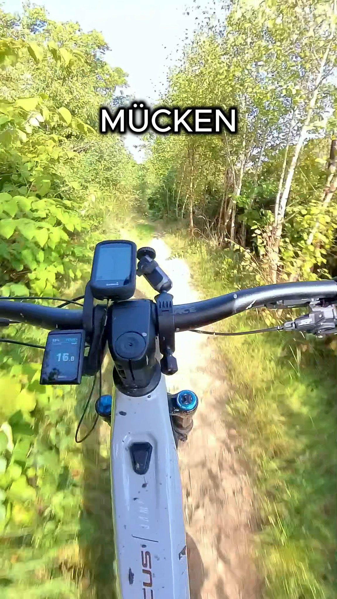 Der Sommer ist auf dem Weg...