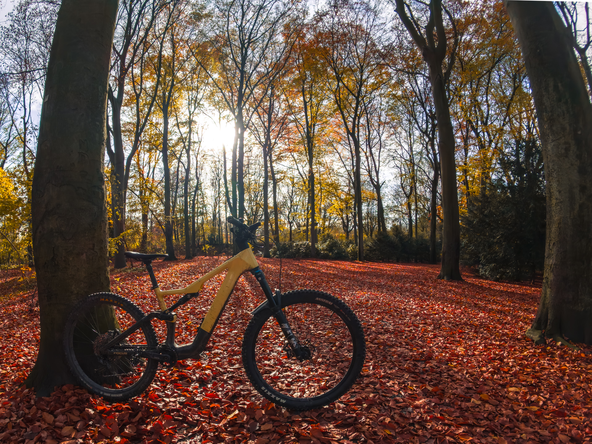 Mittagspause effektiv genutzt! 

---
#Mountainbike #MTB #EnduroMTB #TrailRide #MTBLife #MTBCommunity #RideMore 
#MTBAddict #BikeVibes #TrailVibes #AdventureRide #OutdoorAddict #AutumnVibes 
#Herbstliebe #meinMTB #BikenImRevier #RadrevierRuhr #BikeparkRuhrpott 
#Ruhrgebiet #Haldenliebe #RuhrpottStyle #Industriekultur #ExploreMore 
#RideAndFilm #TheMountTheView #insta360goultra 
@radrevier.ruhr @route_industriekultur @mein.ruhrgebiet @bikepark.ruhrpott @watzup.bike @fazua