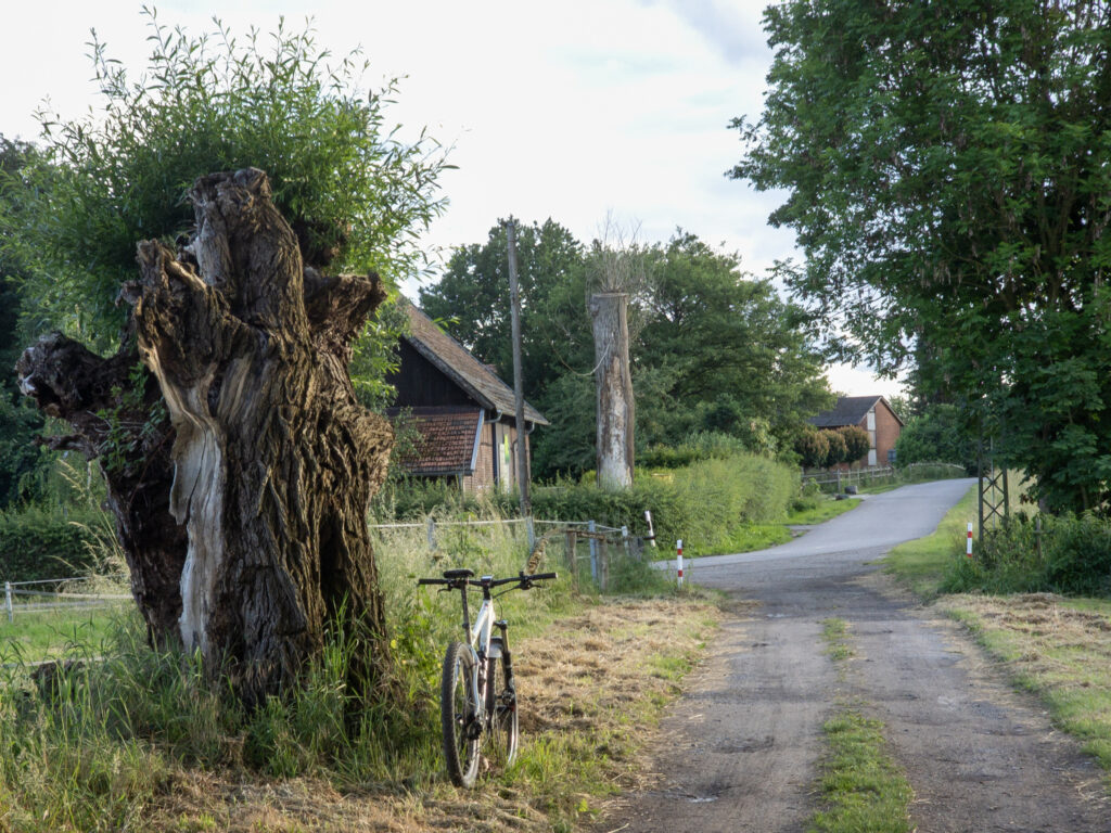 Mein Mountainbike steht am Wegesrand